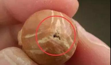 橄榄核雕漏了还能玩吗?